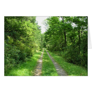 Route de l'herbe dans les bois