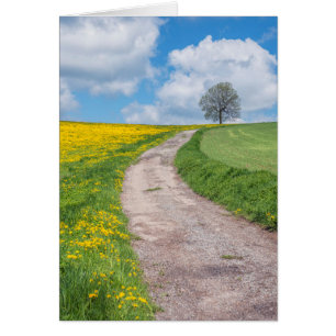 Route de terre et arbre