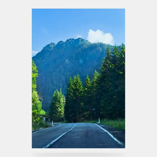 Route forestière des Carpates – Impression de mont