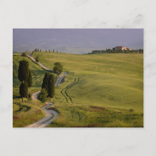 Route vers Terrapille en Toscane carte postale