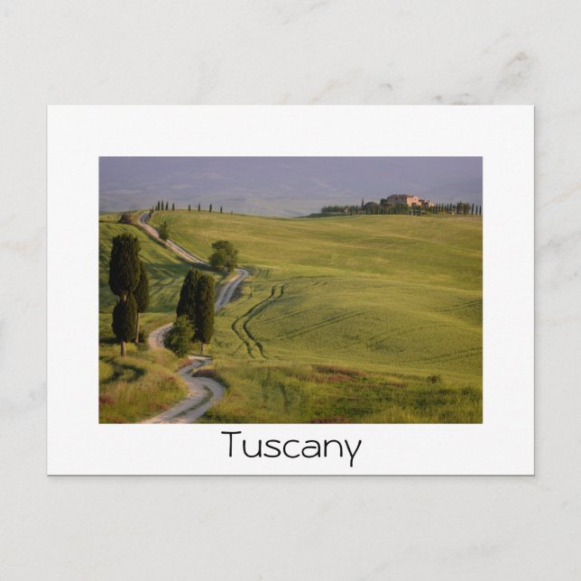 Route vers Terrapille en Toscane carte postale en  (Devant)