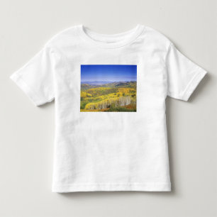 Routt National Forest im Herbst, in der Nähe Kleinkind T-shirt