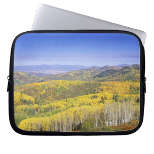 Routt National Forest im Herbst, in der Nähe von Laptopschutzhülle