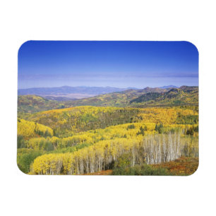 Routt National Forest im Herbst, nahe Magnet