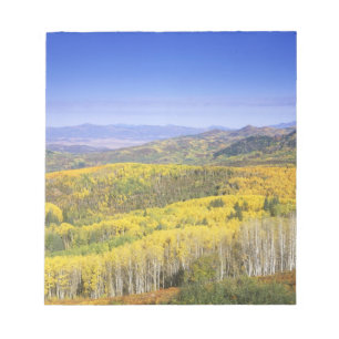 Routt National Forest im Herbst, nahe Notizblock