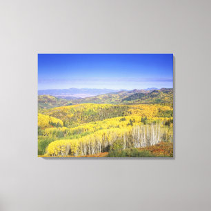 Routt National Forest in Herbstfarben, nahe Leinwanddruck