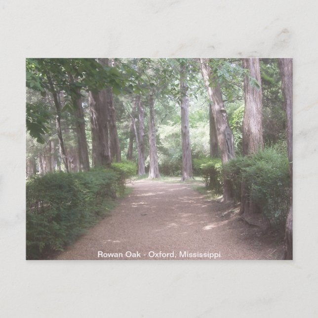 Rowan Oak Postkarte (Vorderseite)