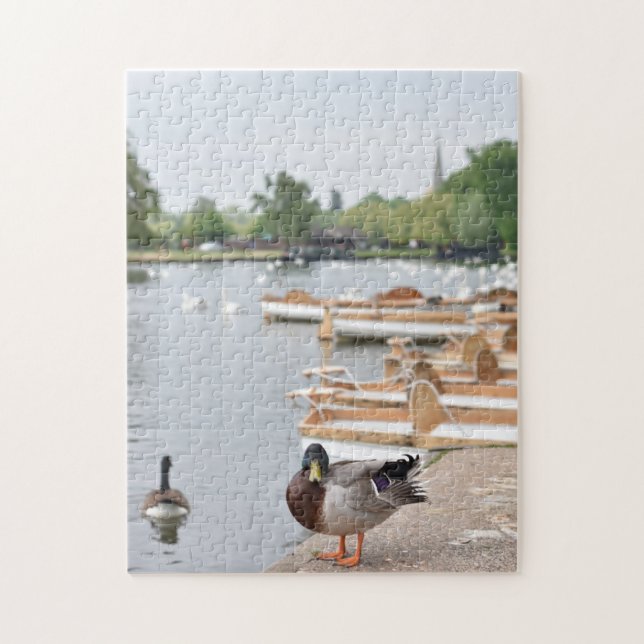 Rowboats and Duck, Stratford Upon Avon, England (Vertikal)