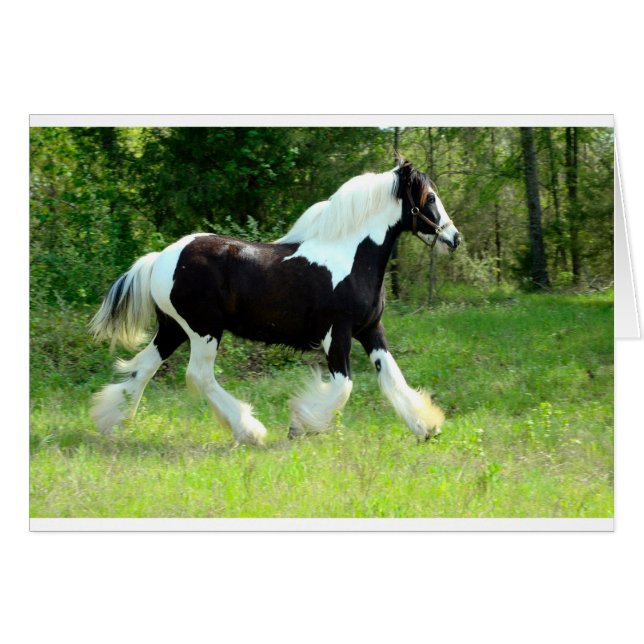 Roxie (Vorderseite (Horizontal))