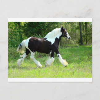 Roxie Postkarte