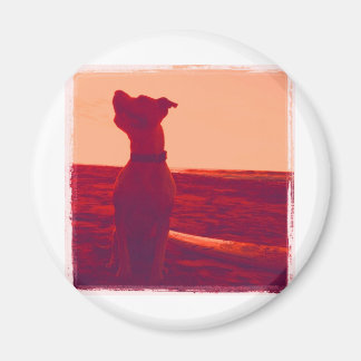 Roxy Foto von Daniela Magnet