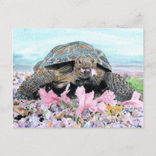 Roxy the Turtle Postcard Postkarte