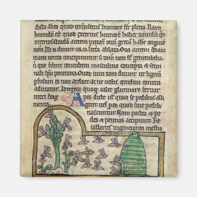 Roy Page of text with Illustration of the Magnet (Vorne)