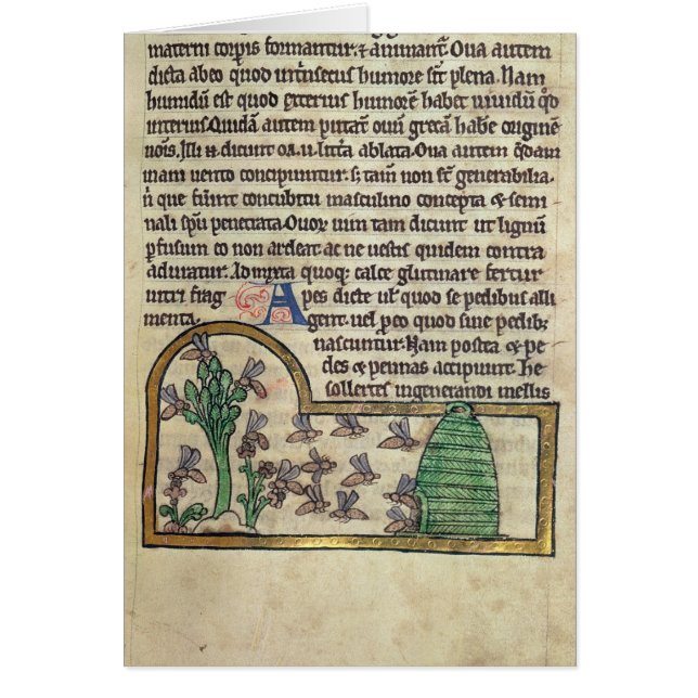 Roy-Seite des Textes mit Illustration von (Vorne)
