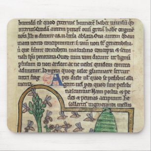 Roy-Seite des Textes mit Illustration von Mousepad