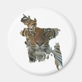 Royal Bengal Tiger Magnet