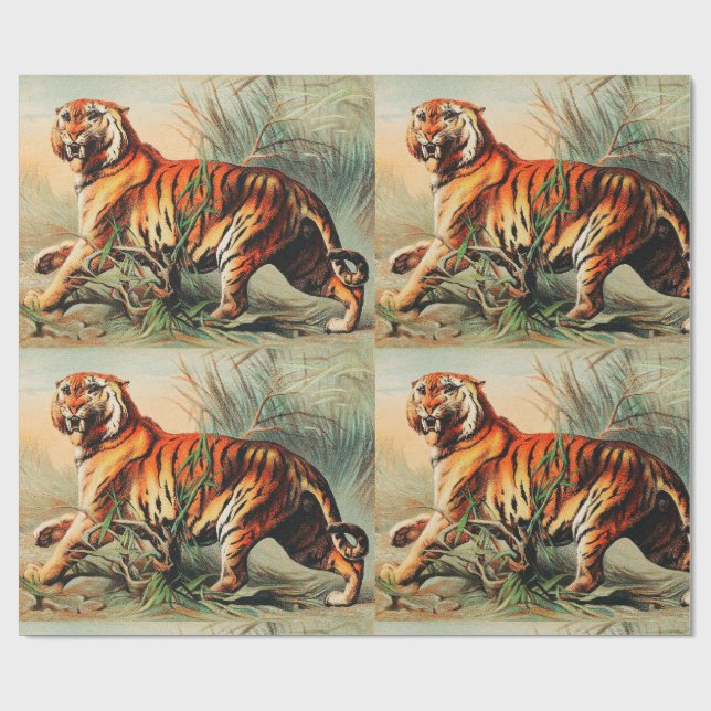 Royal Bengalisch Tiger Geschenkpapier (Flach)