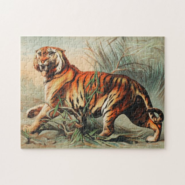 Royal bengalisch tiger Tiger von John Karst (Horizontal)