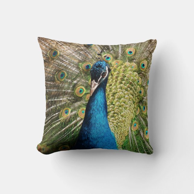 Royal Blue Peacock Kissen (Vorderseite)