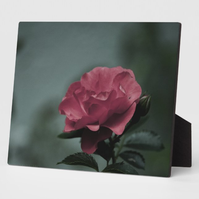 Royal Blush Plaque Fotoplatte (Seite)