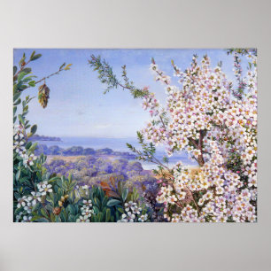 Royal Botanic von Marianne North Poster