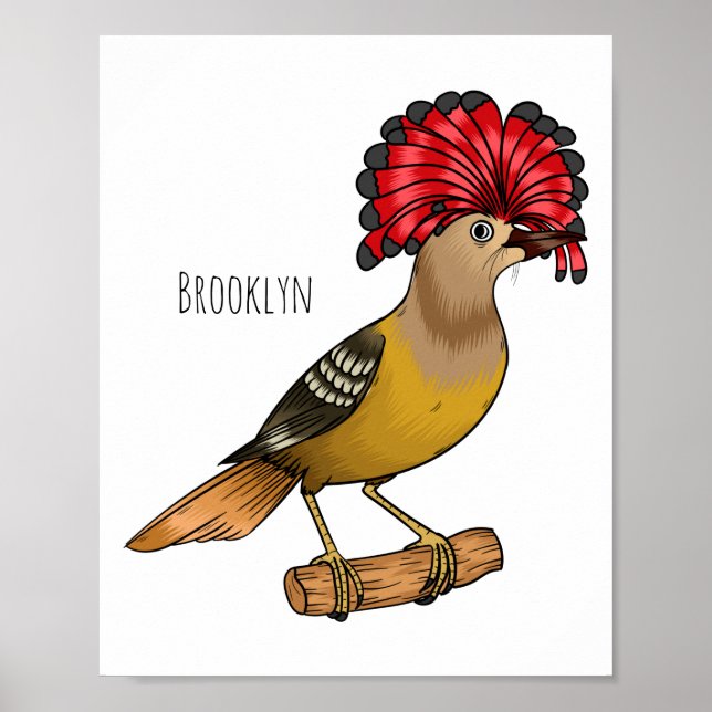 Royal Flycatcher Cartoon Illustration Poster (Vorne)