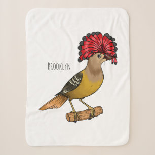 Royal Flycatcher Cartoon Illustration Sherpadecke