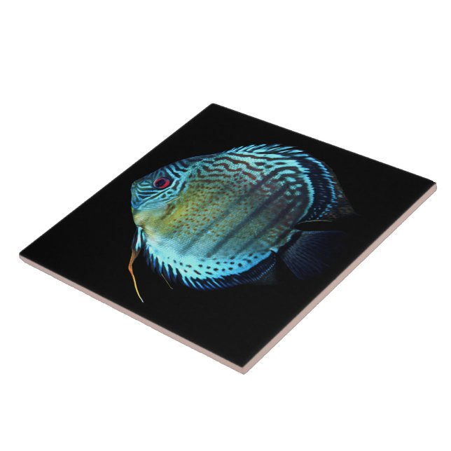 Royal Green Discus Fliese (Seite)
