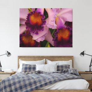 Royal Lila Cattleya Orchid Leinwanddruck