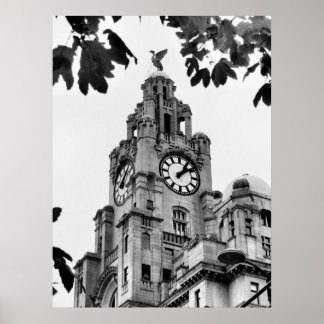Royal Liver Gebäude Liverpool Poster
