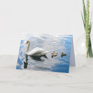 Royal Mute Swan et Cygnet Carte de voeux pliée