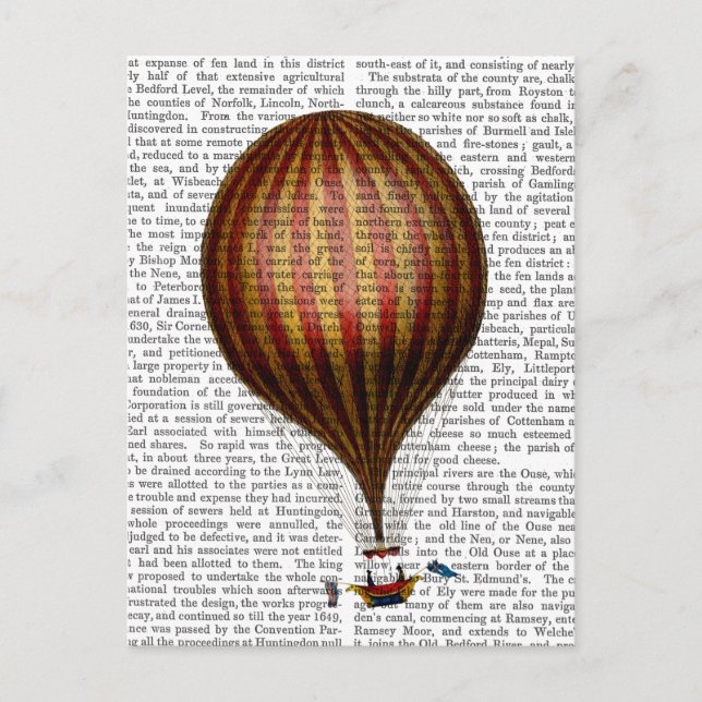 Royal Nassau Balloon Heißluftballon Postkarte (Vorderseite)
