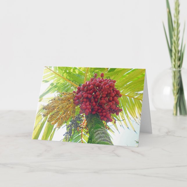 Royal Palm Fruit Feiertagskarte (Vorderseite)