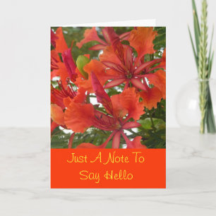 Royal Poinciana Flower Greeting Card Karte