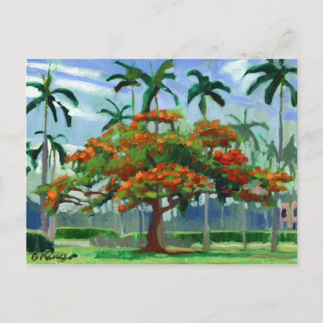 Royal Poinciana Postcard Postkarte (Vorderseite)