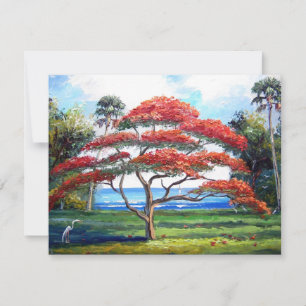 Royal Poinciana Tree Art