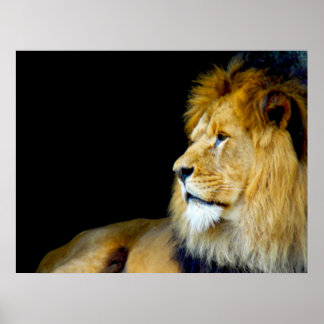 Royal Portrait Poster