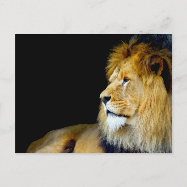 Royal Portrait Postkarte (Vorderseite)