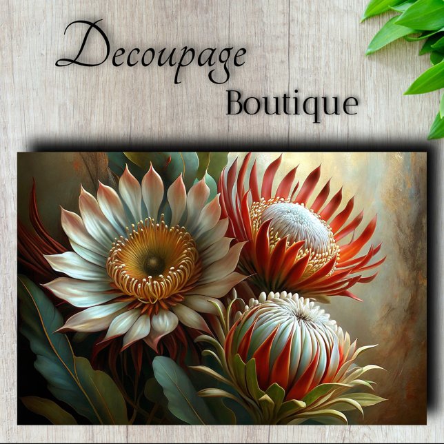 Royal Protea Dreams Decoupage Seidenpapier (Royal Protea Dreams Decoupage Tissue Paper)