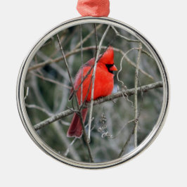Royal Red Kardinal Premium Ornament
