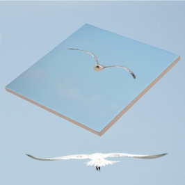 Royal Tern in Flight Coastal Sky Blue Fliese