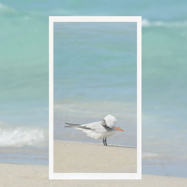 Royal Tern on Beach Seabird Fotografie Serviette (Von Creator hochgeladen)