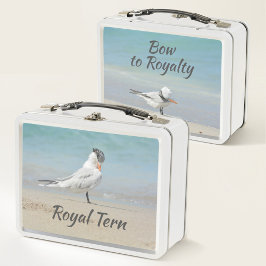 Royal Tern Seabirds Bow bis Royalty Beach Metall Brotdose