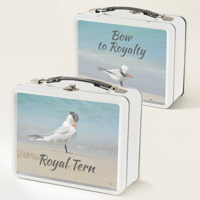 Royal Tern Seabirds Bow bis Royalty Beach Metall Brotdose (Von Creator hochgeladen)