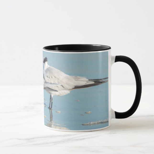 Royal Terns am Strand Tasse (Rechts)