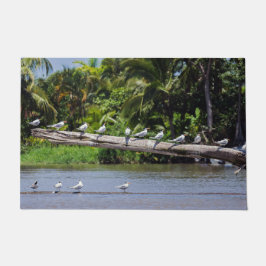 Royal terns, Tortuguero Flussmündung - Costa Rica Fußmatte