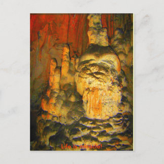 RÖZARD VON DER HÖHE - Postkarte