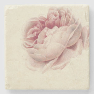 Roze Roos (1792) – Zeitlose Vintage-Botanikkunst Steinuntersetzer