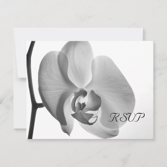 RSVP-Antwortkarte für die White Orchid-Hochzeit RSVP Karte (Vorderseite)