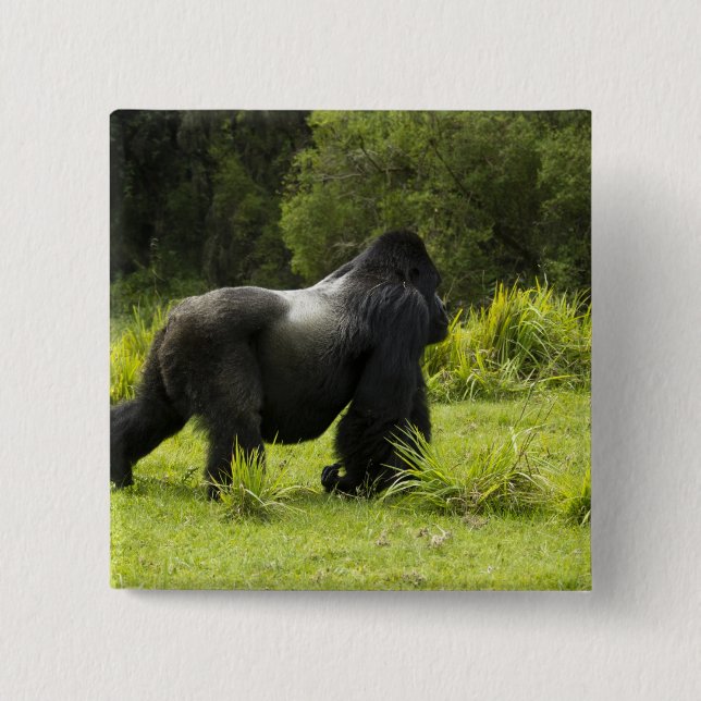 Ruanda, Volcanos-Nationalpark Button (Vorderseite)